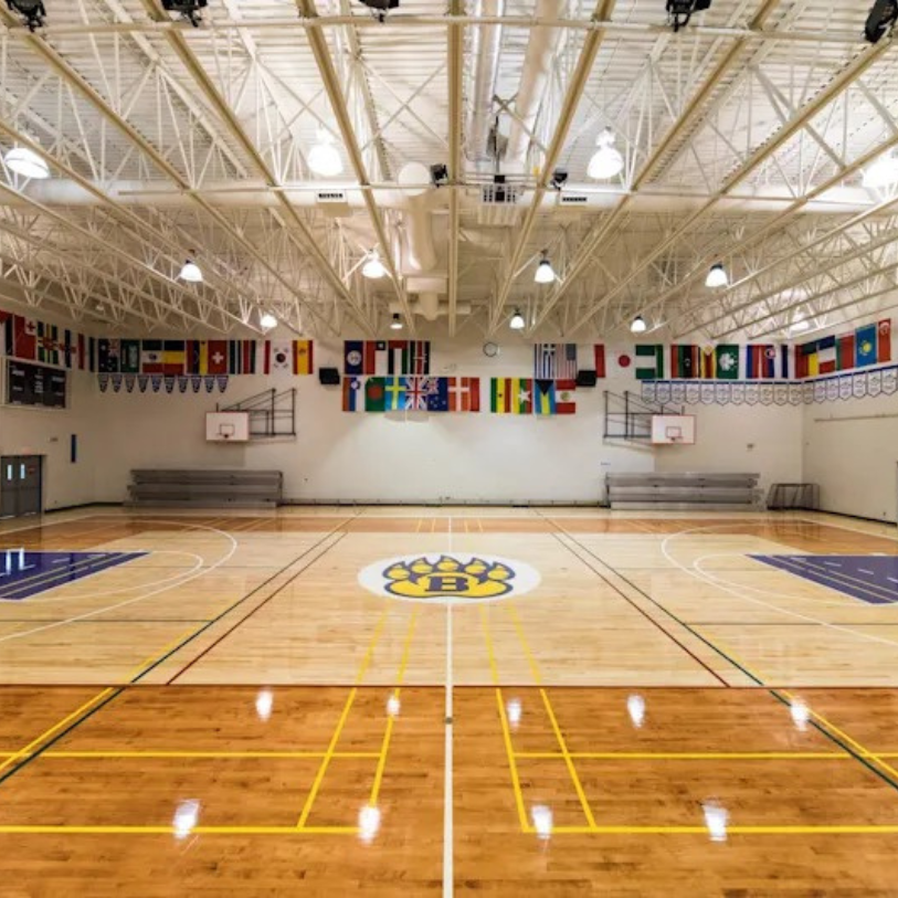 PAGINA WEB ELEMENTOS MSI